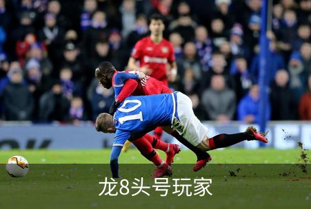 龙8头号玩家简介